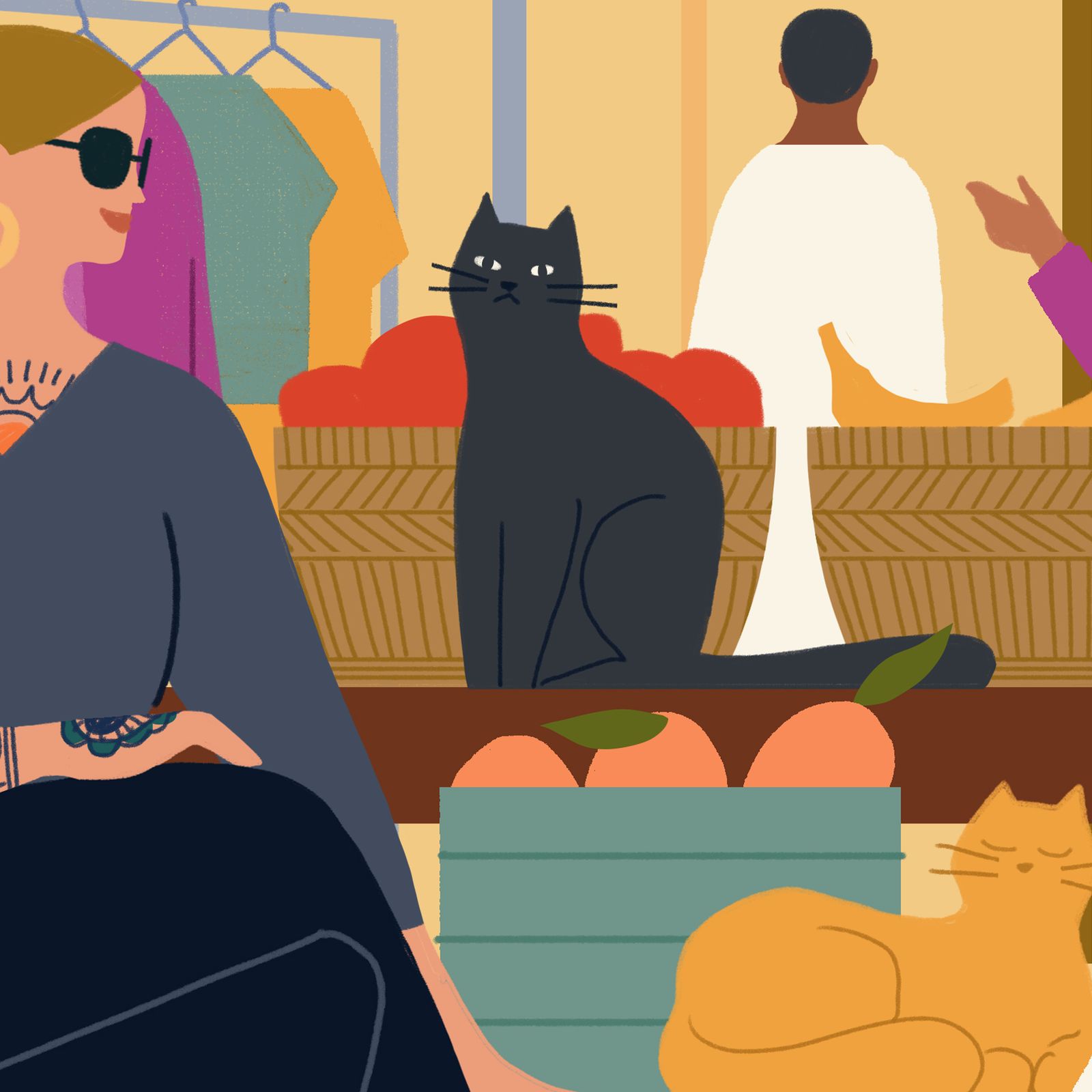 Women Who Travel Podcast: In Search of the Cats of the World