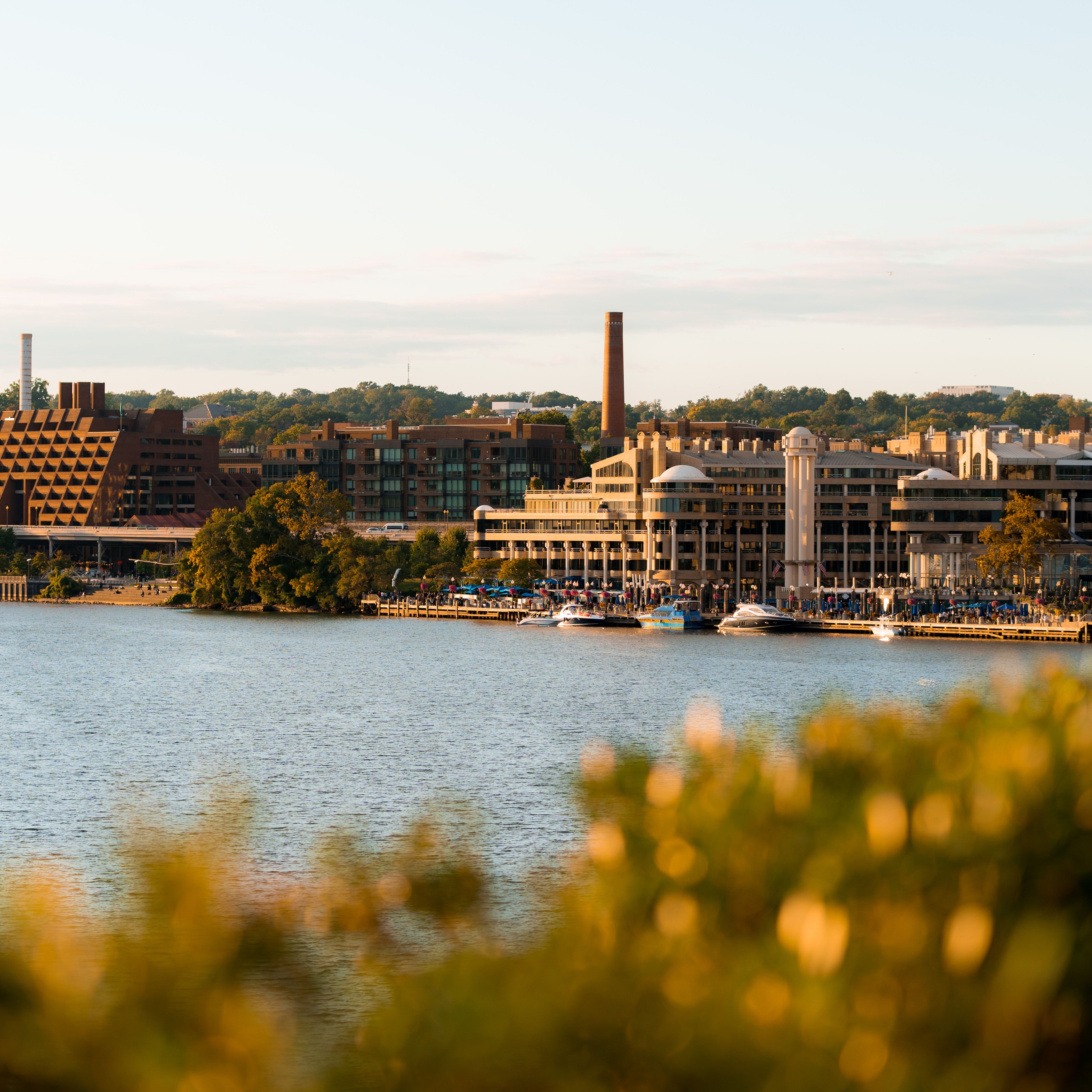 Your Weekend Blueprint for Mindful Living in D.C.