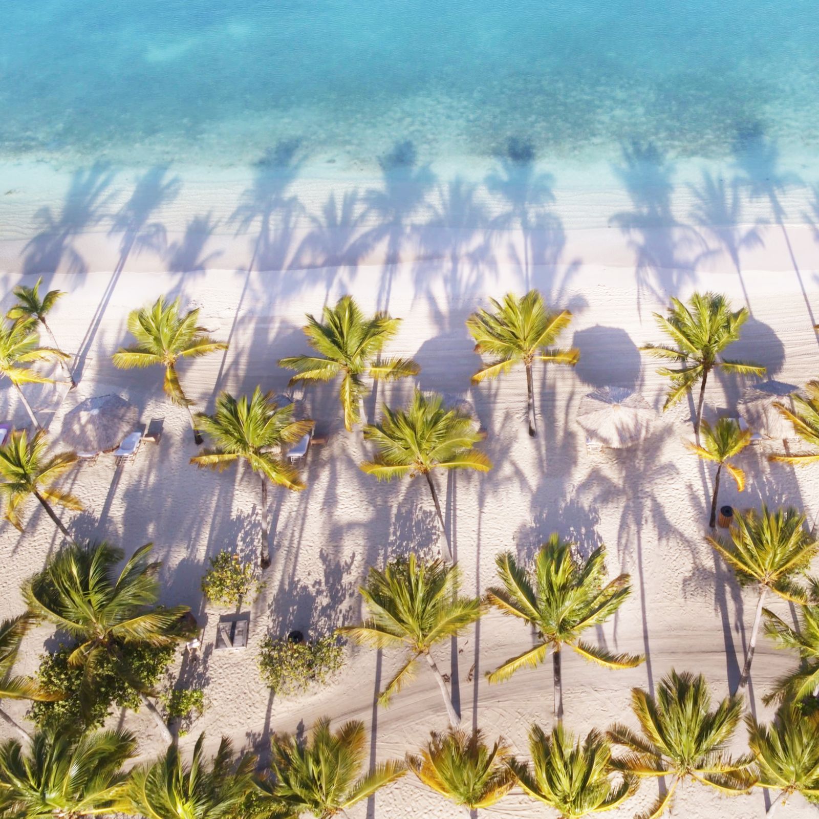 Where to Find Wellness Experiences in Antigua