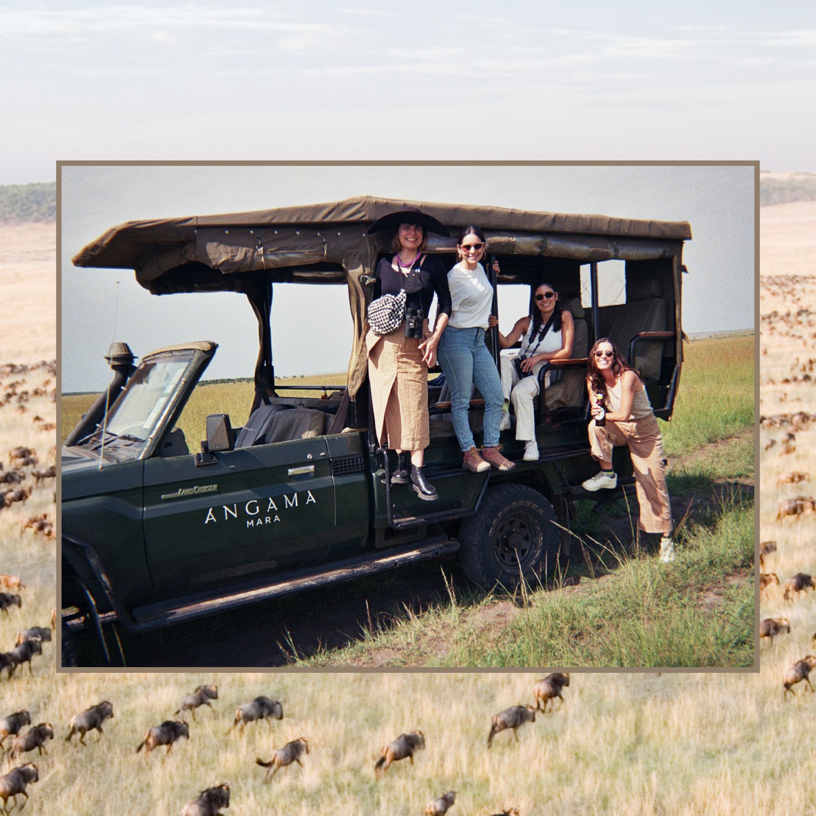 Go on Safari With Your Friends