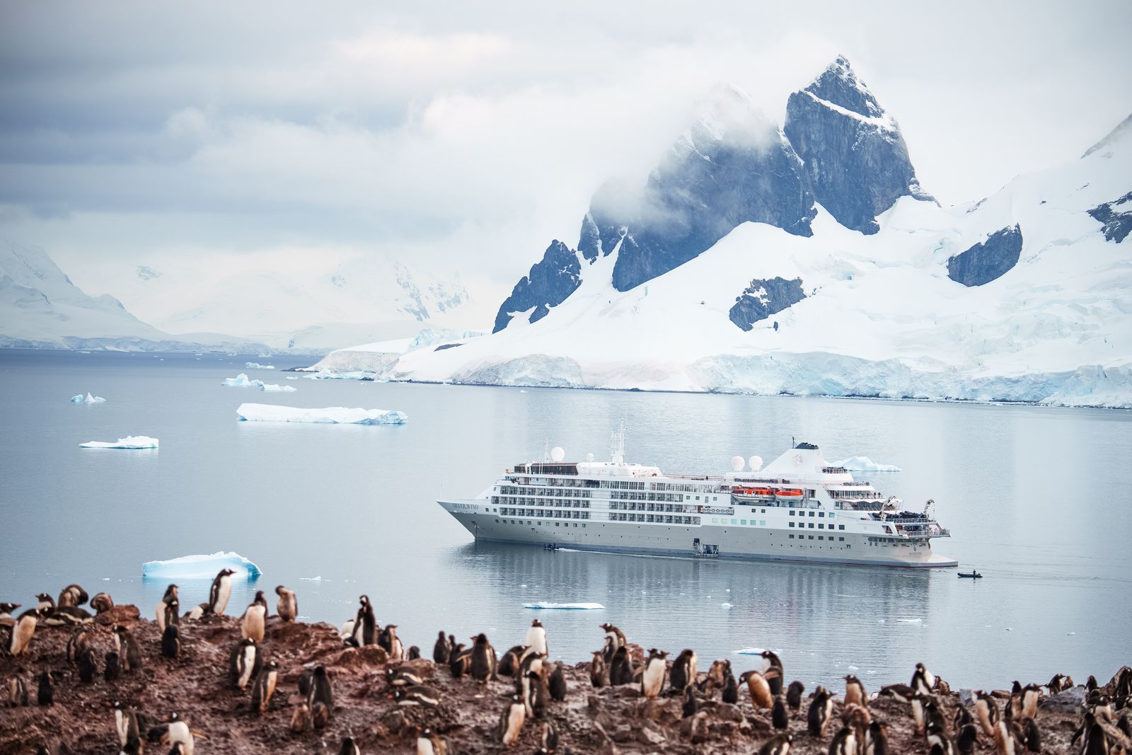 The Best Adult-Oriented Cruise Lines to Sail this Year